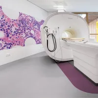 Токорассеивающий гомогенный линолеум Forbo Sphera SD