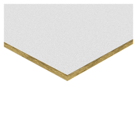 Потолочная плита Рокфон Пасифик A 15/24 1200x600x12 купить в #REGION_NAME_PP# | Авангард